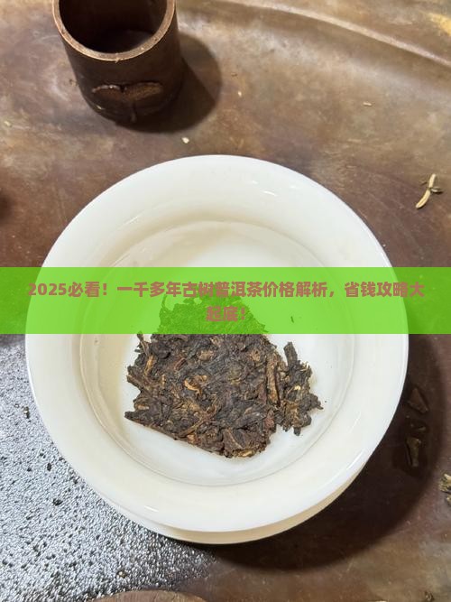 一千多年古树普洱茶价格