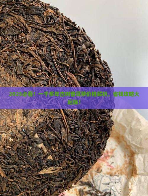 一千多年古树普洱茶价格