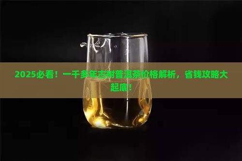一千多年古树普洱茶价格