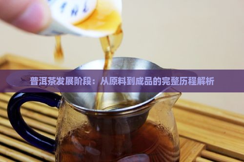 普洱茶发展阶段