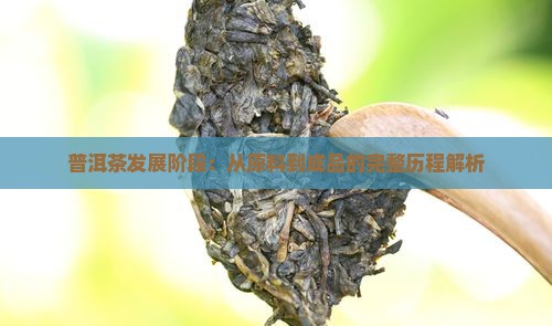 普洱茶发展阶段
