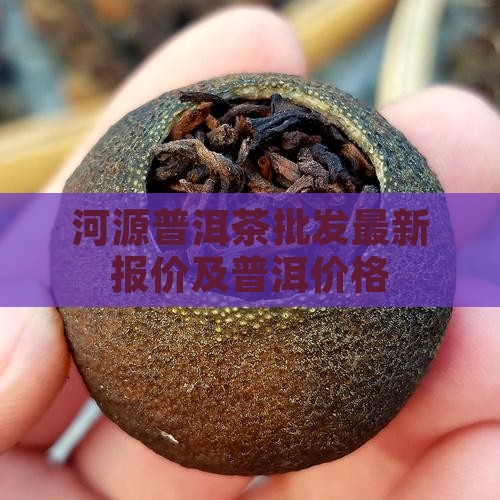 河源普洱茶干平台报价