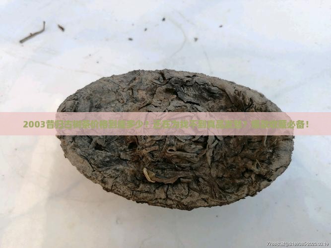 2003昔归古树茶价格