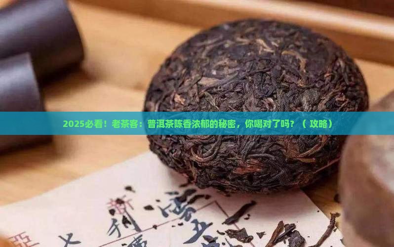 普洱茶的陈香显著浓郁