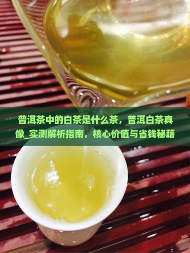 普洱茶中的白茶是什么茶