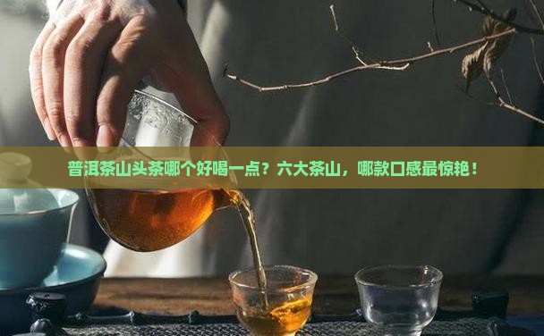 普洱茶山头茶哪个好喝一点