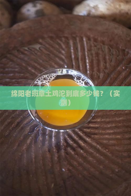 绵阳老班章土鸡沱多少钱