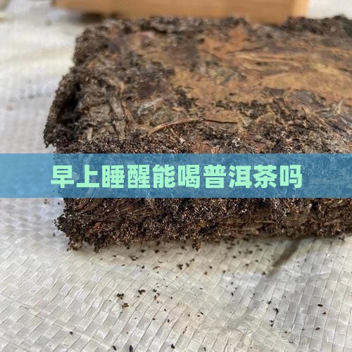 早上睡醒能喝普洱茶吗