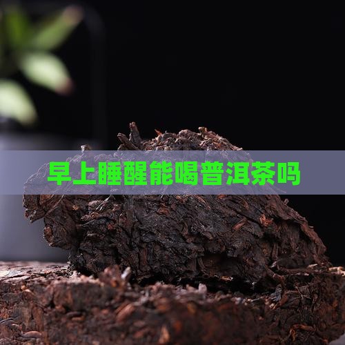 早上睡醒能喝普洱茶吗