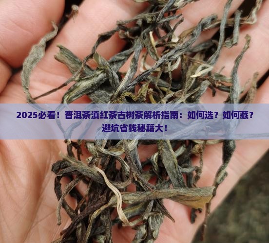 普洱茶滇红茶古树茶