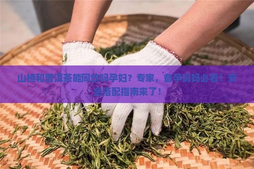 山楂和普洱茶能同饮吗孕妇