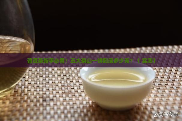 普洱五大茶山普洱一饼正常多少克