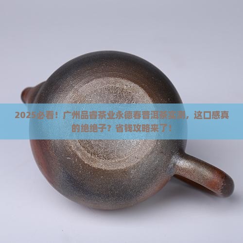 广州品睿茶业永德春普洱茶