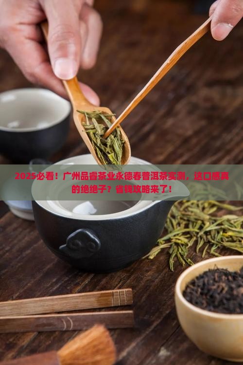 广州品睿茶业永德春普洱茶
