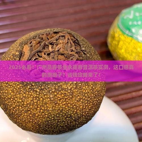 广州品睿茶业永德春普洱茶