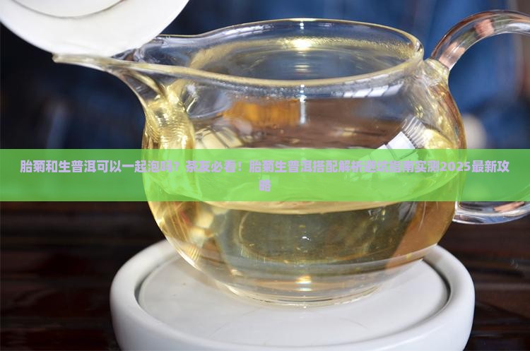 胎菊和生普洱可以一起泡吗