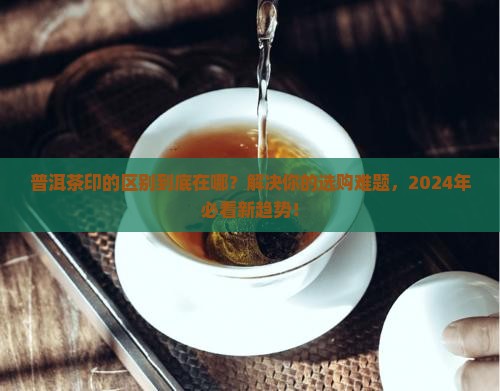 普洱茶印的区别