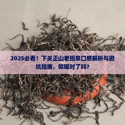 下关正山老班章的口感特点