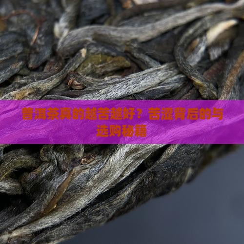 普洱茶为什么越苦越好
