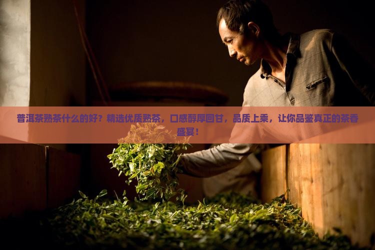 普洱茶熟茶什么的好