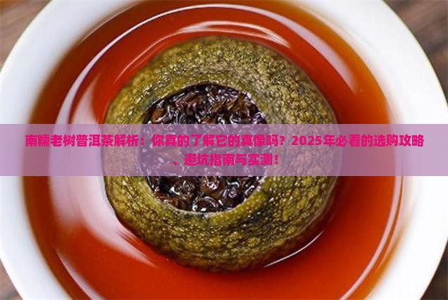 南糯老树普洱茶是什么样子