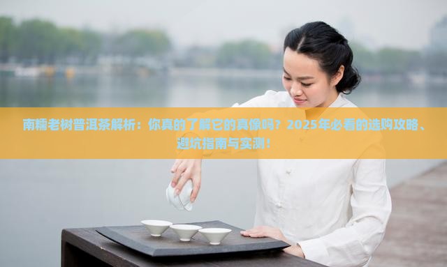 南糯老树普洱茶是什么样子