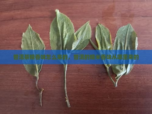 普洱茶糯香味怎么来的