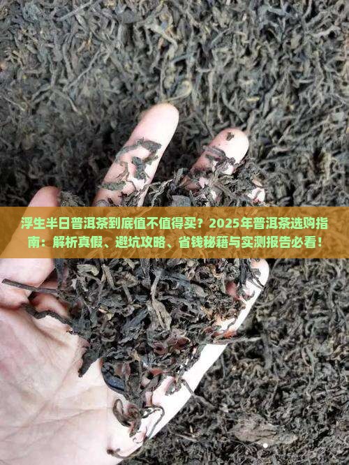浮生半曰普洱茶