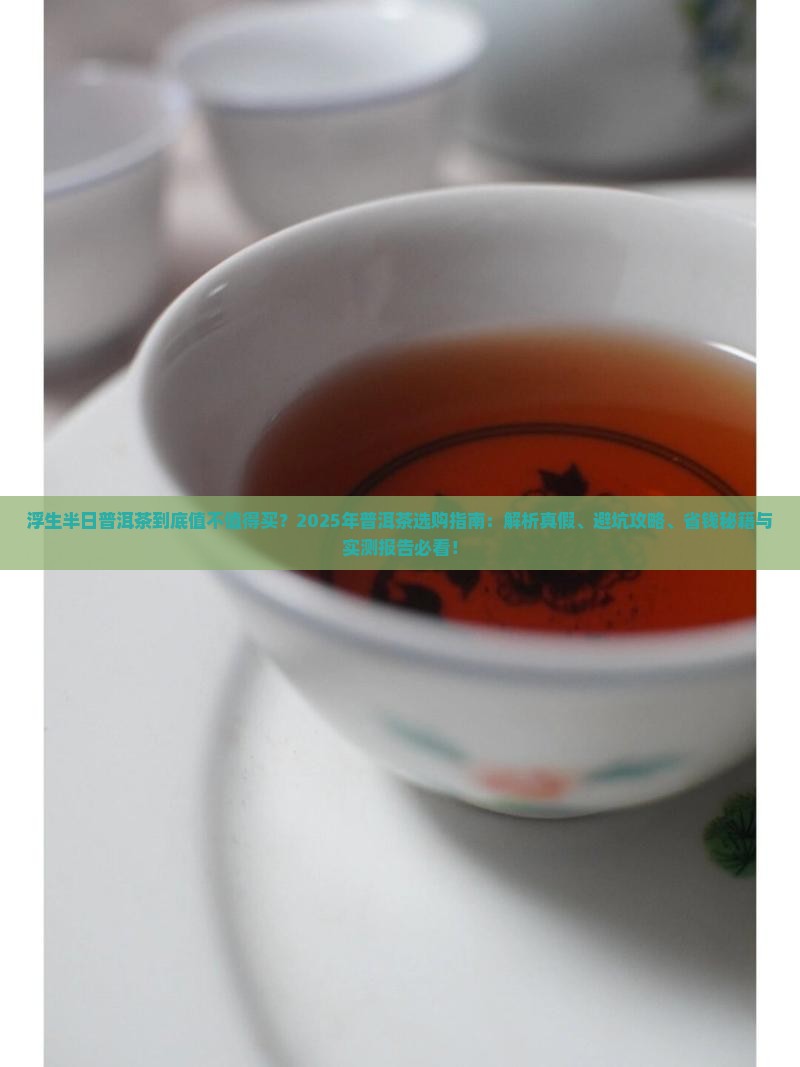 浮生半曰普洱茶