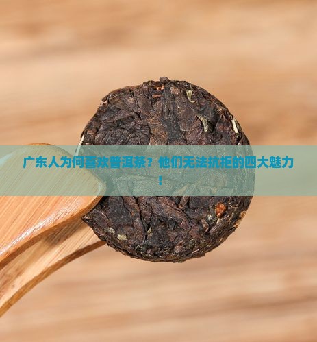 广东人为何喜欢普洱茶