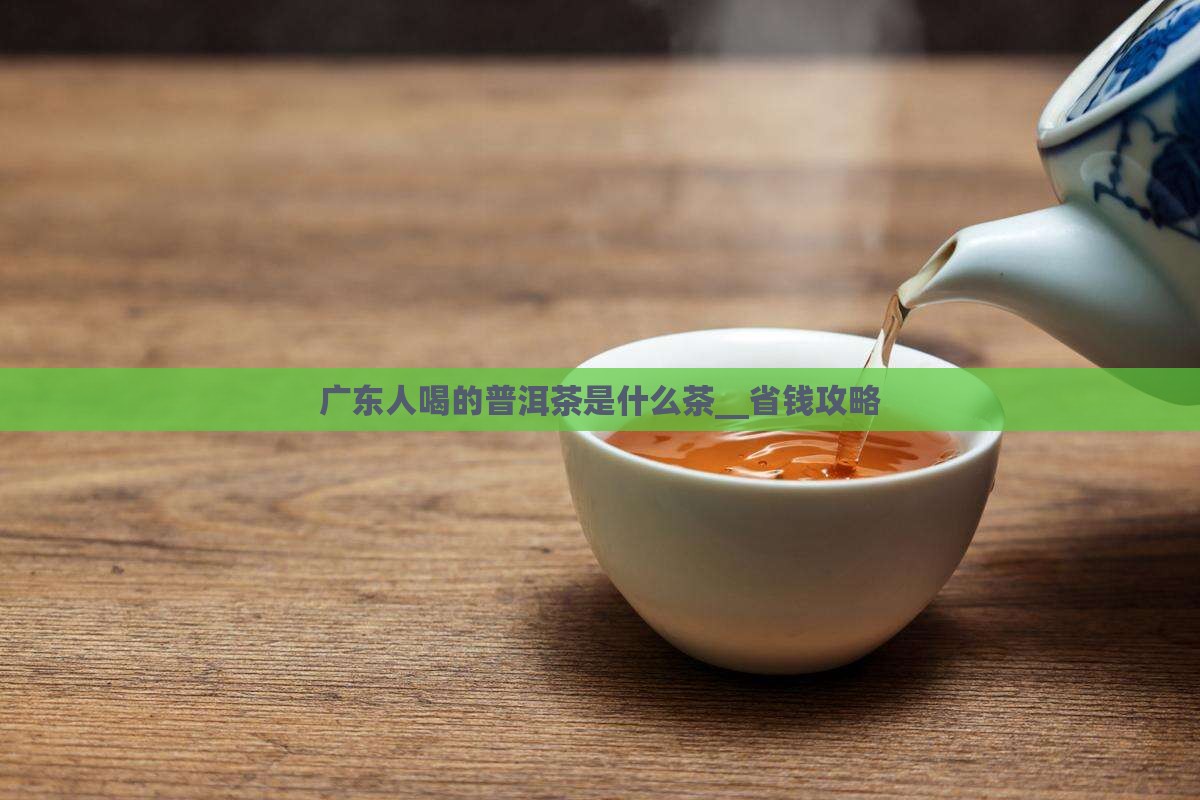 广东人喝的普洱茶是什么茶