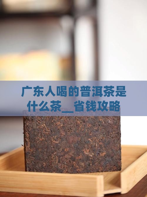 广东人喝的普洱茶是什么茶