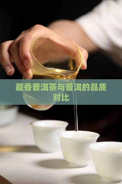 集思益藏香普洱茶怎么样 集思益藏香普洱茶怎么样