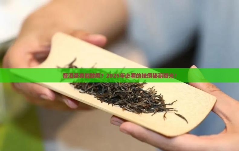 普洱茶能除痰吗