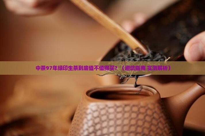 中茶97年绿印生茶