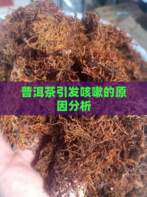 普洱茶喝了喉咙干燥咳嗽