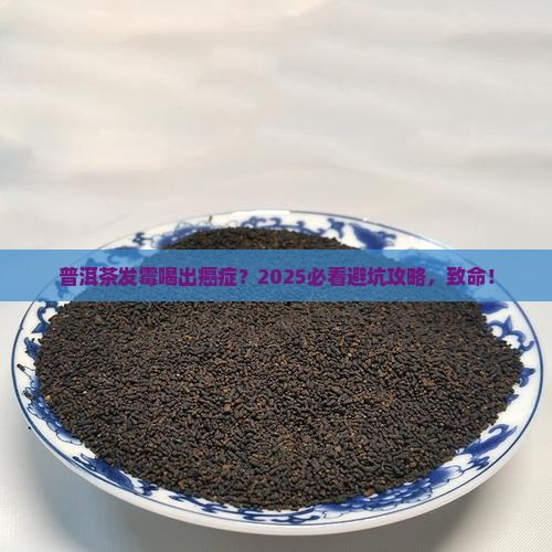 普洱茶发霉喝出癌症
