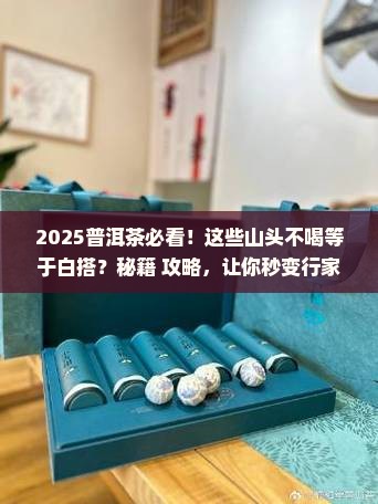 普洱茶一定要喝的山头