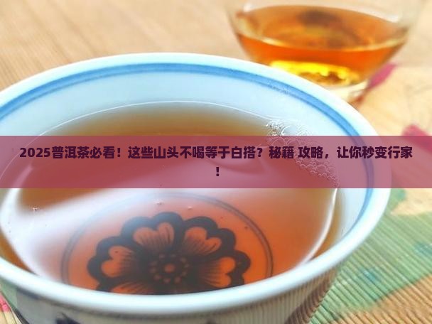 普洱茶一定要喝的山头