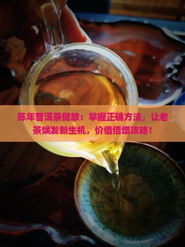 陈年普洱茶储放