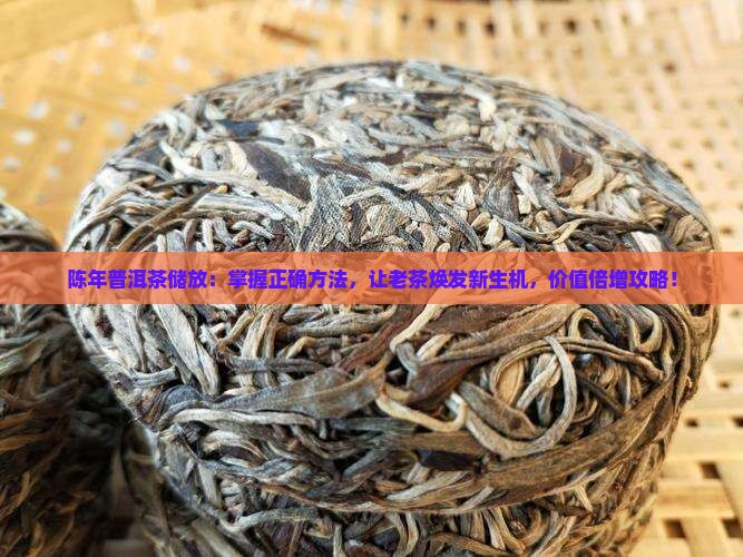 陈年普洱茶储放