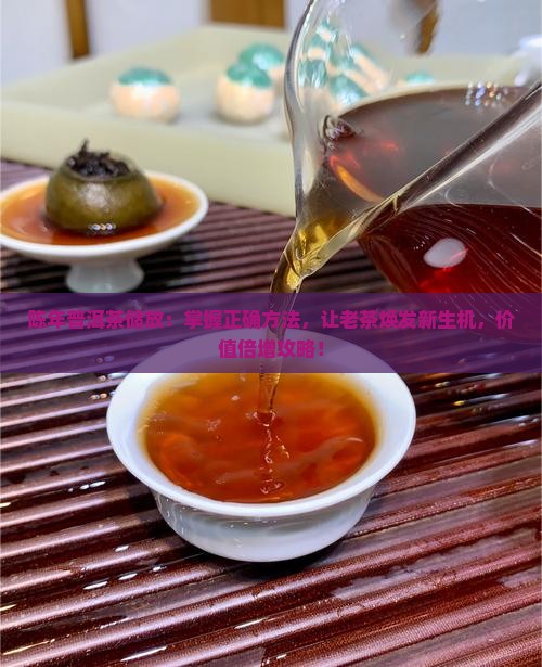 陈年普洱茶储放