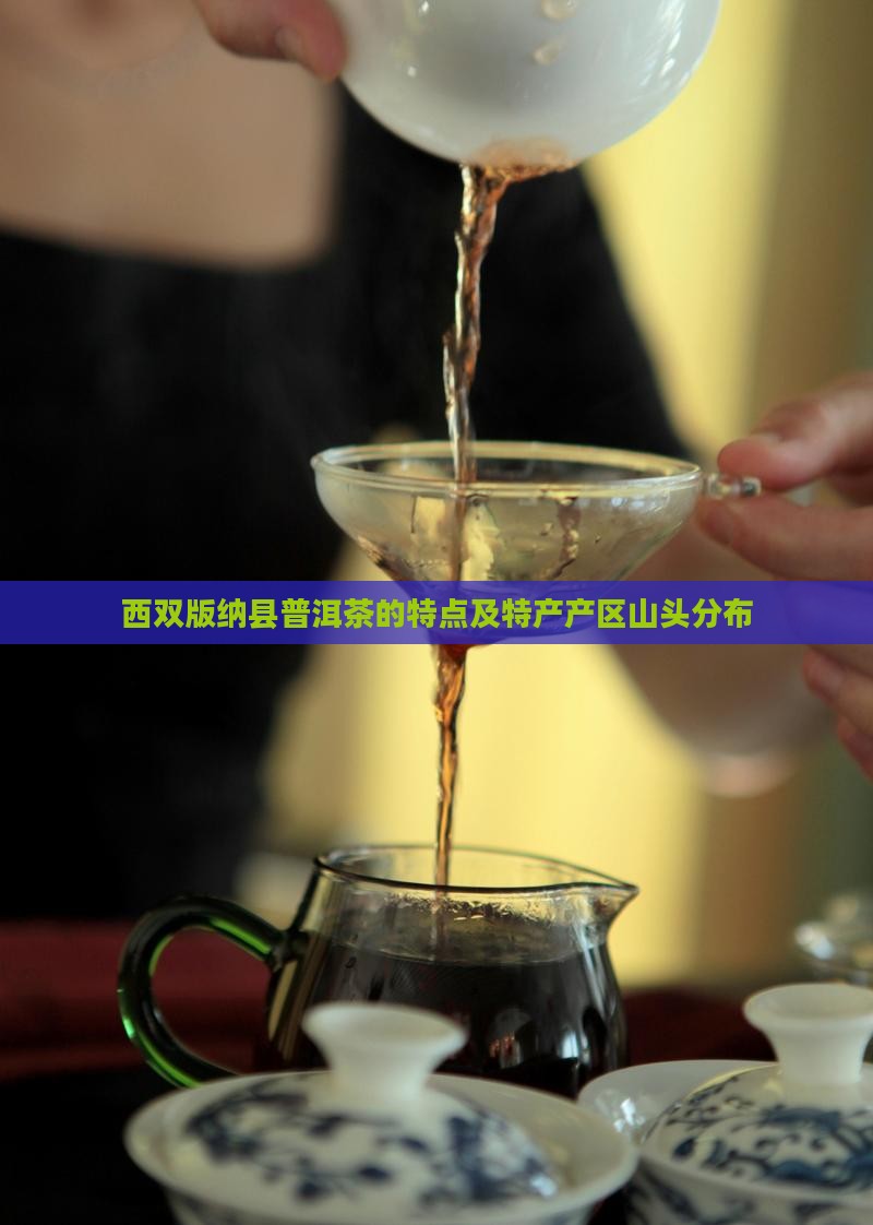 西双版纳县普洱茶的特点