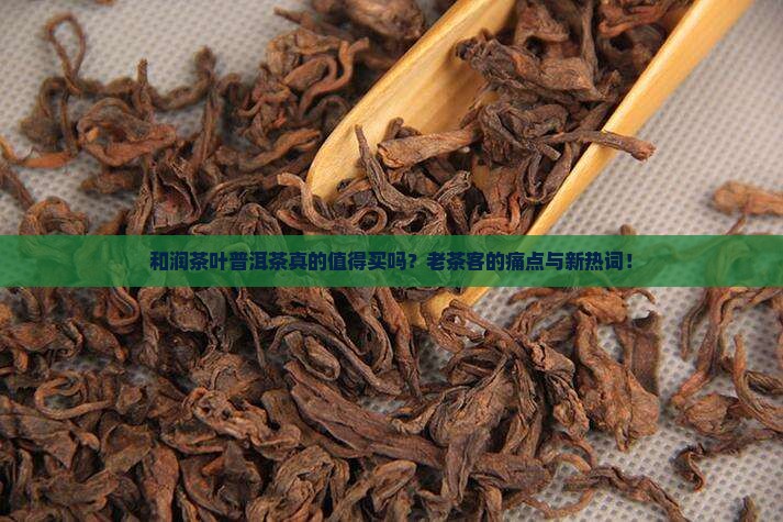 和润茶叶普洱茶