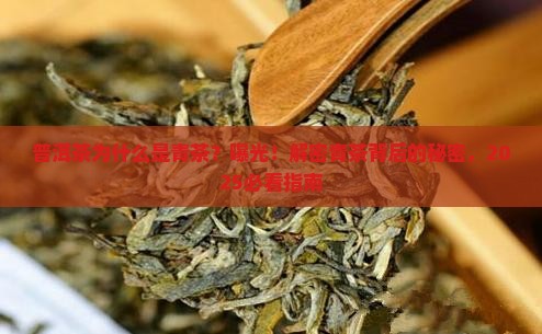 普洱茶为什么是青茶