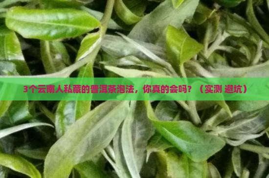 普洱茶云南人用什么泡