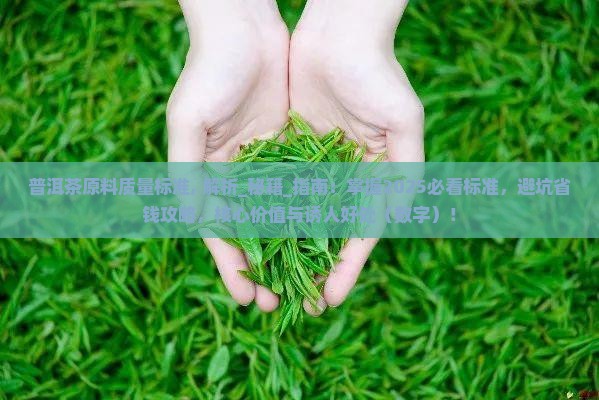普洱茶原料质量标准