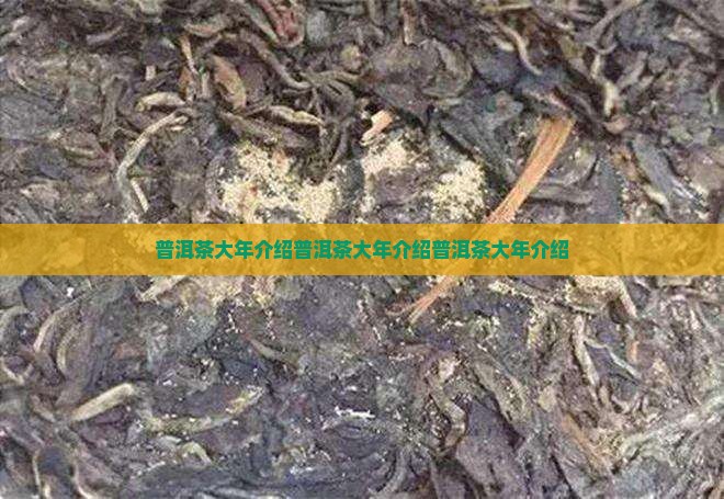 普洱茶大年介绍
