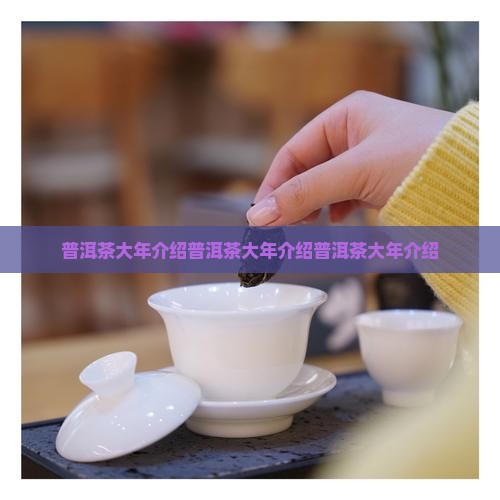 普洱茶大年介绍