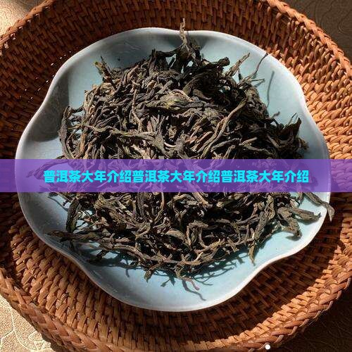 普洱茶大年介绍